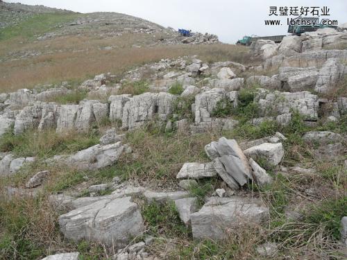 龟纹石 自然雕琢的岩壑意境